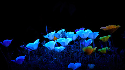 Neon blue flowers on a dark background.