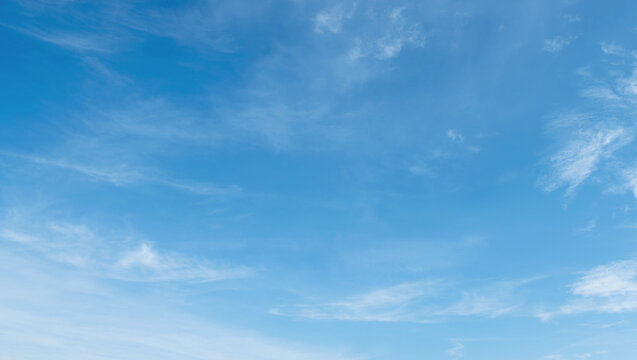  sky is blue and clear with no clouds