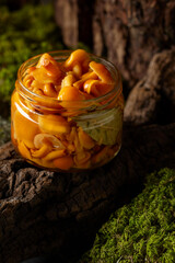 Homemade pickled honey mushrooms in a glass jar. - 783597089