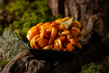 Homemade pickled honey mushrooms in a black bowl. - 783597090