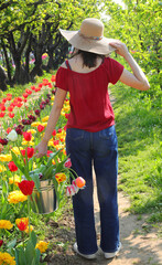 Young girl with wide  straw boater hat in the field of Tulips flowers in spring - 783599419
