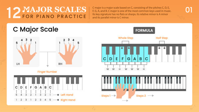 C Major Scale, Visual Guide Essential Music Theory for Piano