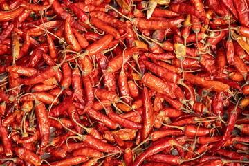 Dried red hot chili peppers background