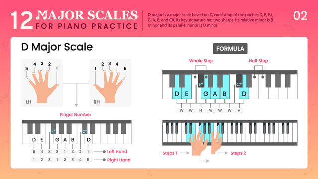 D Major Scale Visual Guide Essential Music Theory for Piano
