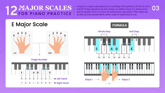 E Major Scale Visual Guide Essential Music Theory for Piano