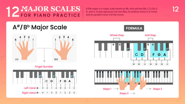 A Sharp Major Scale or B Flat Major, Visual Guide Essential Music Theory for Piano