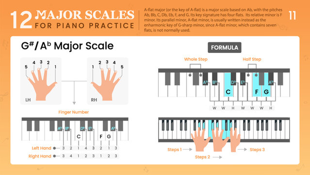 G Sharp Major Scale or A Flat Major, Visual Guide Essential Music Theory for Piano