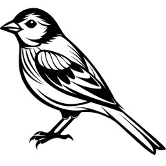 Bird silhouette vector illustration