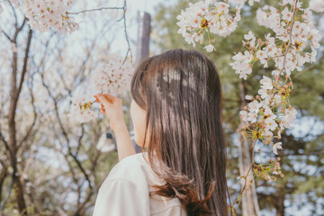 벚꽃, 여자 사진