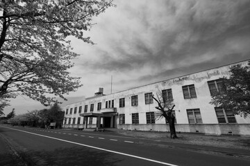 桜と筑波海軍航空隊 司令部庁舎