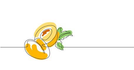 Simple vector illustration with the branch of apricot with seed. Line art with yellow plum.	
