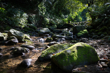 Relaxing scene by the riverside, beautiful rocks covered by moss, sunlight shines between leaks on...