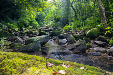 Peaceful scene in the center of river, water flows gently between rocks, foreground out of focus in...