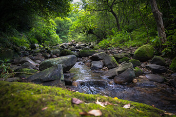 Naklejka premium Peaceful scene in the center of river, water flows gently between rocks, foreground out of focus in purpose, in Bengshankeng historical trail, New Taipei City, Taiwan.