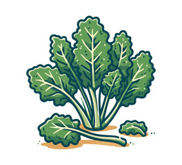 Kale hand drawn vector illustration green vegetable