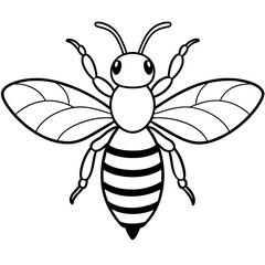           Asian giant hornet bee vector illustration.
