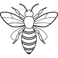           Asian giant hornet bee vector illustration.
