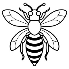           Asian giant hornet bee vector illustration.

