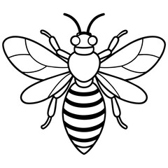 Obraz premium Asian giant hornet bee vector illustration. 