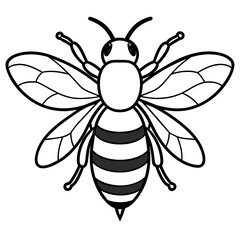           Asian giant hornet bee vector illustration.
