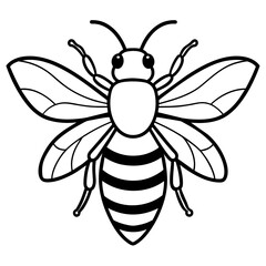           Asian giant hornet bee vector illustration.
