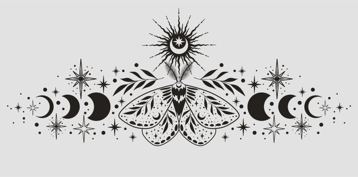 Сelestial boho border divider with moon moth. Botanical art.