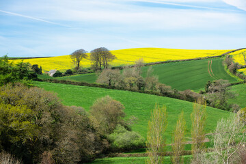 Countryside in Springtime.
