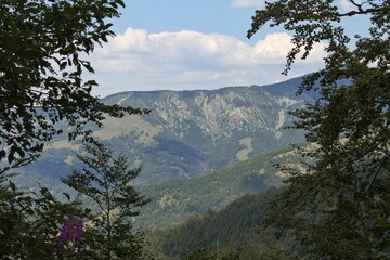 Aerial view of greenery mountains surrounded by growing dense trees