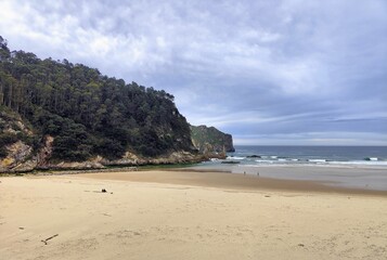 Mesmerizing shot of a sandy beach with rocky hill forests overlooking the ocean