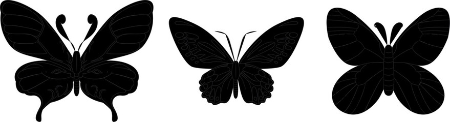 Hand drawn butterfly set design