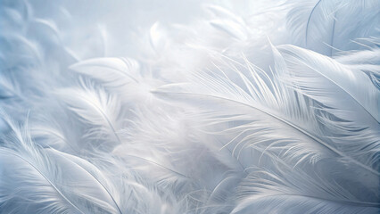 Fototapeta premium Soft White Feathers Texture with White Background