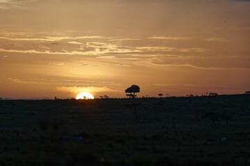 Beautiful landscape of sunrise over Masai Mara national reserve in Kenya.