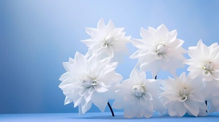 AI generated illustration of white flowers placed on a table against a blue background