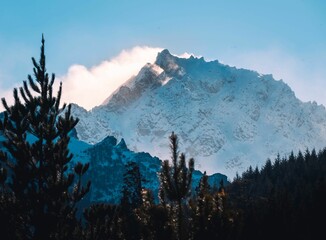 Landscape view of snowy Patagonia Mountain and forest, Argentina