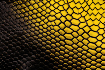reptile skin close-up macro, crocodile skin, back