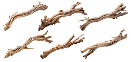Fototapeta premium Set of driftwoods, cut out