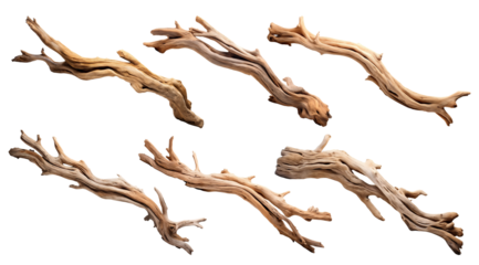 Set of driftwoods, cut out