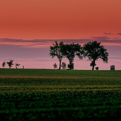 Colorful sunset scene with lush trees in a fresh valley, a rural landscape