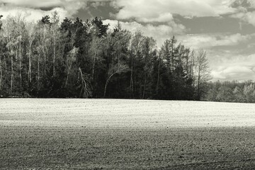 Greyscale shot of a rural field landscape