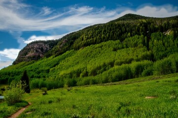 Fototapeta na wymiar Beautiful scene of Green mountain scene near Vail Colorado with blue sky