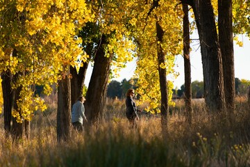 Scenic view of autumn trees with people walk on the trail, Cherry Creek
