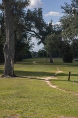 Vertical shot of a trail with tall green trees going through a park in Florida