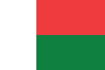 Madagascar flag vector illustration. Madagascar national flag. 
