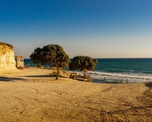 Beautiful shot of two trees on a nice sand beach of the Aegean Sea in Kos Island, Greece