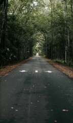 Vertical shot of footpath in the park