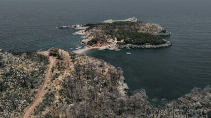 Aerial view of a white wand beach surrounde by trees