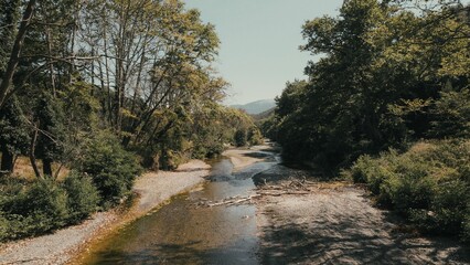 River in the middle of the forest on a sunny day