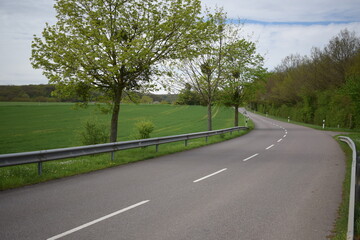rural avenue in Luxembourg
