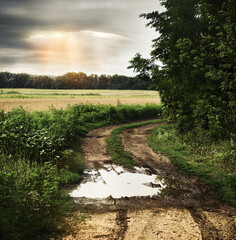 Wet countryside road with dark cloudy sky