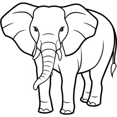 African elephant isolated on white background